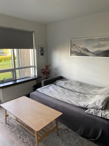 David'S Apartment เซลฟอส ภายนอก รูปภาพ